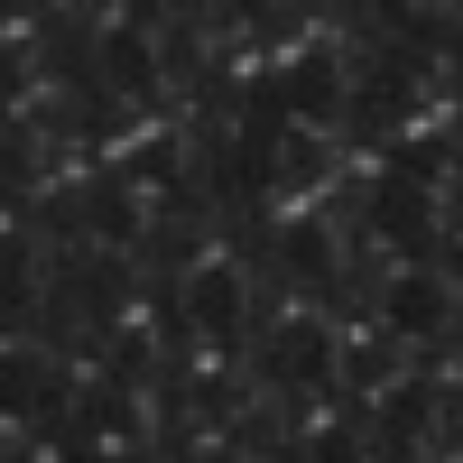 Imagine Curea dama 76 Bottalato+Vitello Negru