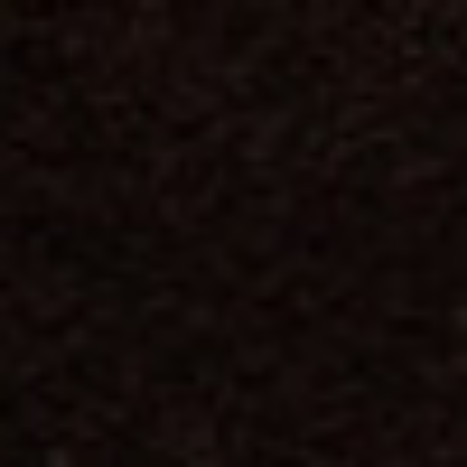 Imagine Ghete Barbati 7681 Crosta T.Moro