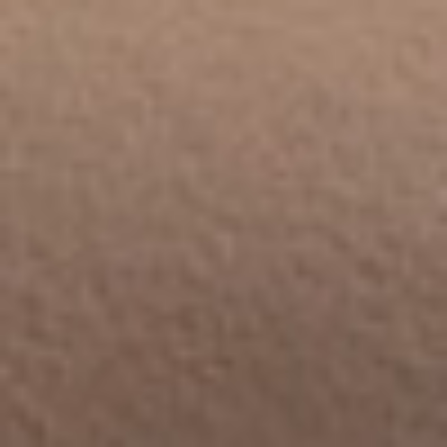 Imagine Balerini Dama 7518 Vitello Taupe